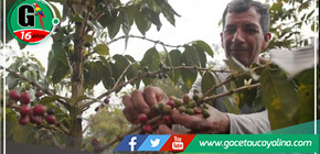 La región del Amazonas acogerá una reunión centrada en impulsar los sectores productivos innovadores