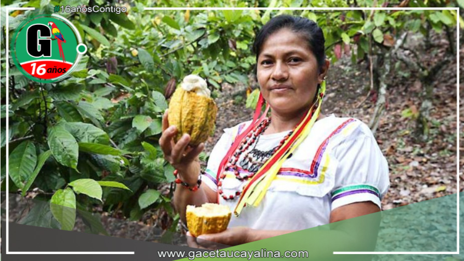 Mujeres indígenas de la selva peruana encuentran oportunidades en el alto precio del cacao