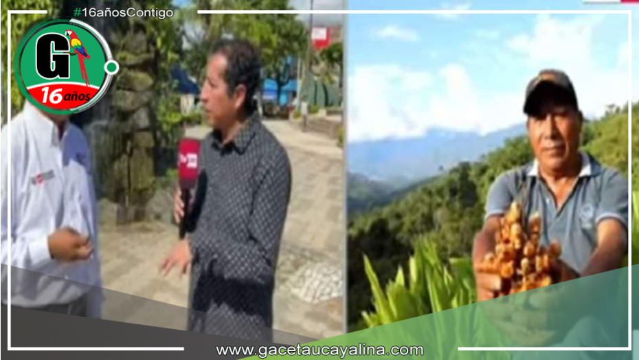 INIA y Provraem realizan estudio de suelo para optimizar cultivos en el VRAEM