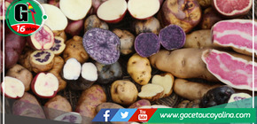 Día de la Papa: Cuatro novedosos artículos provenientes de Huánuco que están ganando popularidad en todo el país