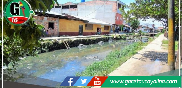 “Es absurdo que organismos estatales no quieran cumplir una sentencia del Tribunal Constitucional”