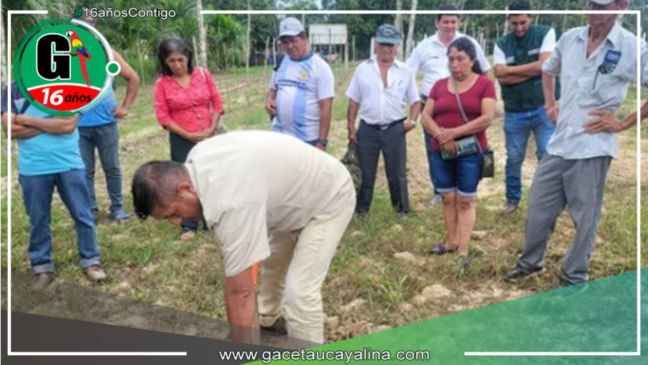 El INIA ha lanzado una campaña para evaluar la fertilidad agrícola en las regiones del Alto y Bajo Huallaga en Loreto