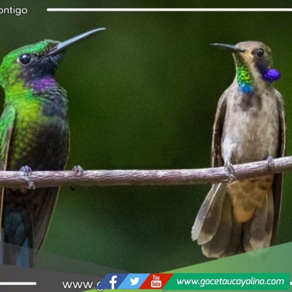 Autoridades se congregan en San Martín para fortalecer la gestión de áreas de conservación regional