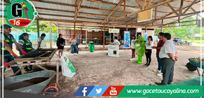 Pasantía en Planta de Valorización: Innovación en Gestión de Residuos