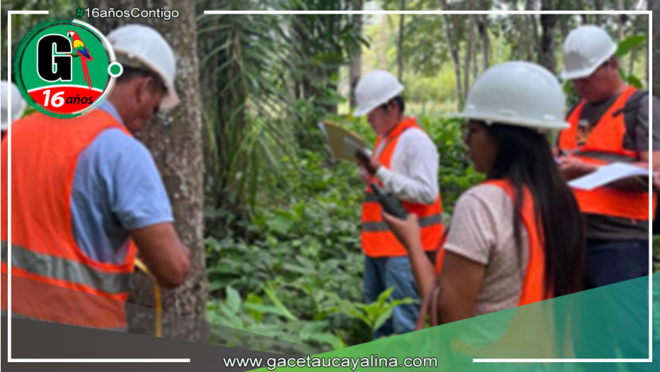 Ucayali: Revoluciona con Primer Incentivo por Excelencia en Prácticas Forestales