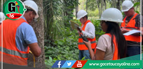 Ucayali: Revoluciona con Primer Incentivo por Excelencia en Prácticas Forestales