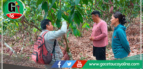 Productores de Campo Verde Reciben Apoyo del Proyecto Cacao para Mejorar sus Prácticas Agrícolas