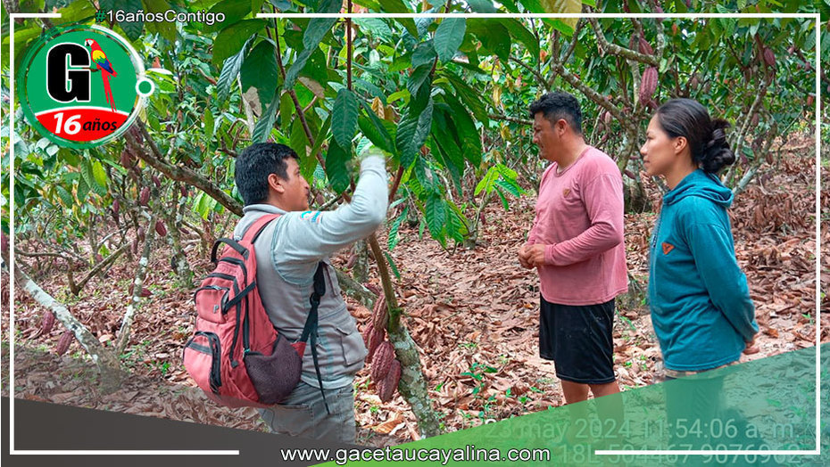 Productores de Campo Verde Reciben Apoyo del Proyecto Cacao para Mejorar sus Prácticas Agrícolas