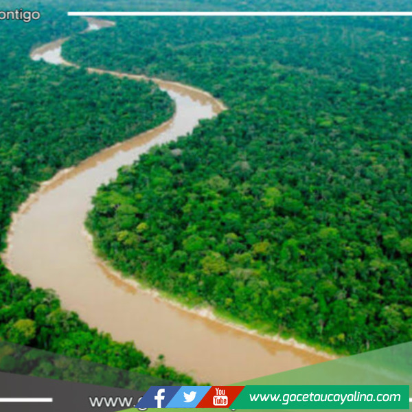 Congreso aprueba creación de la Autoridad Multisectorial de la Cuenca del río Putumayo