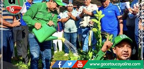 Gobernador regional lanza proyecto que beneficiará a 1, 738 familias 