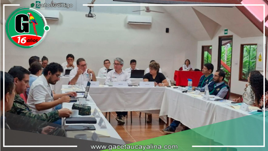 Acciones Conjuntas en Ucayali para Combatir la Tala Ilegal: Sesión Descentralizada de la CMLTI
