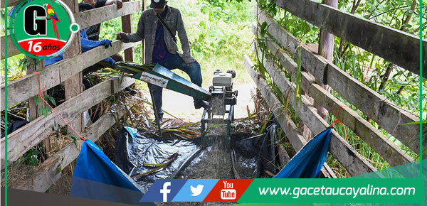 Capacitación en Ensilaje para Ganaderos Locales en Sepahua