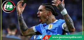 Darwin Núñes: ''Voy a errar goles, 5 o 10, pero voy a intentar 11 veces''