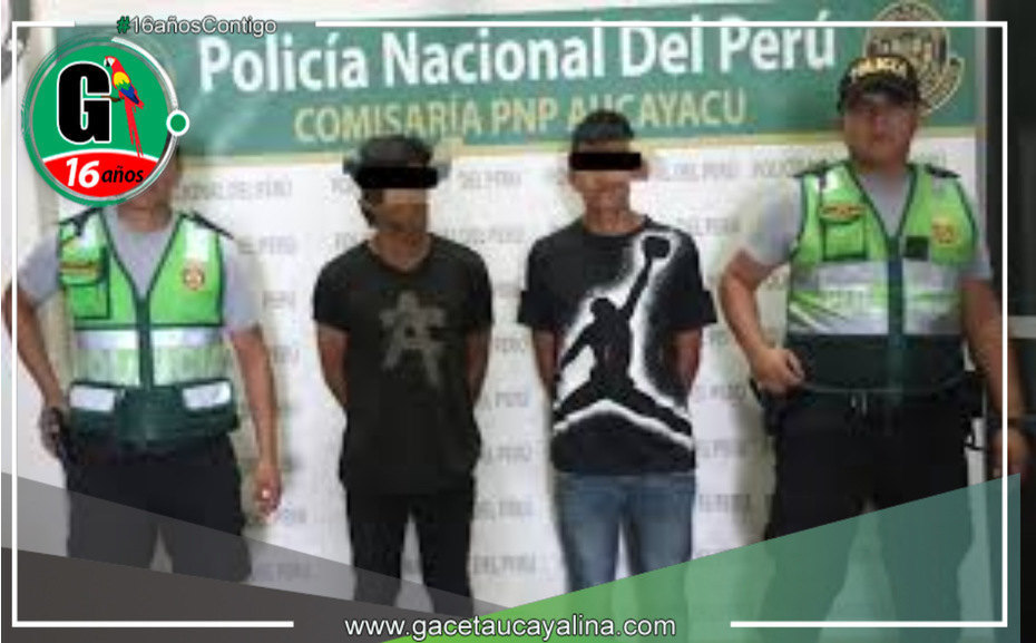 Detenido a sujeto con requisitoria de hurto agravado