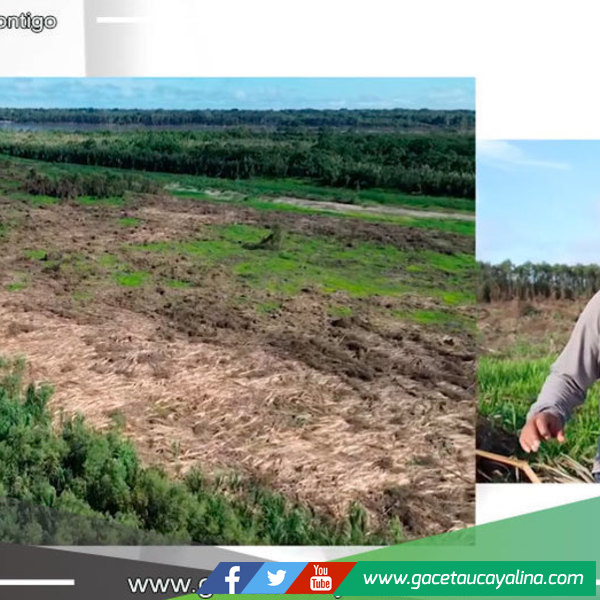 Alcalde Rodolfo Lovo Tello lanza plan piloto para producción agrícola en Contamanillo