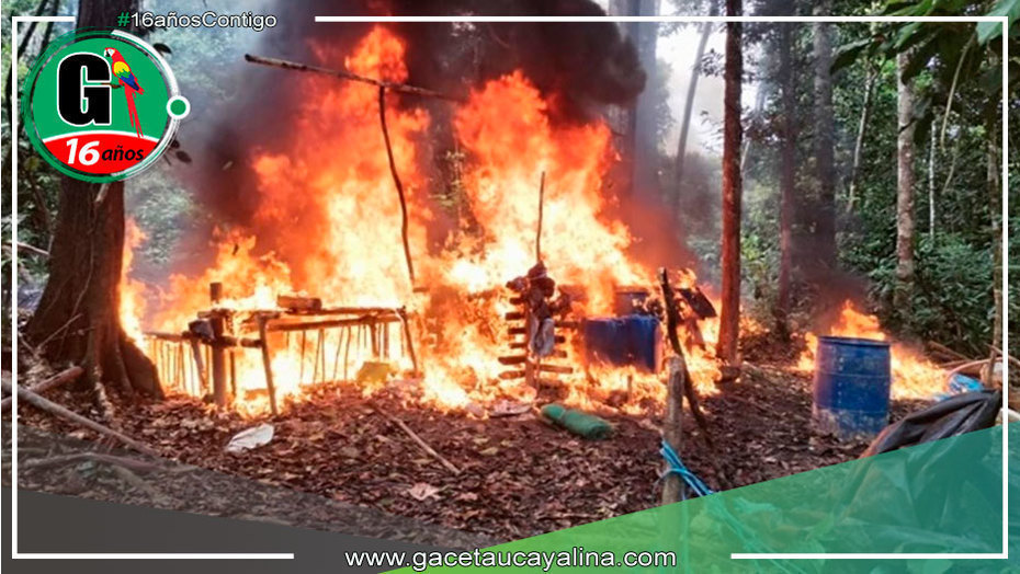 Destruyen 23 laboratorios de PBC en Tahuania durante operativo helitransportado