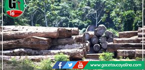 275 mil soles por tráfico de productos maderables fue condenado a cárcel