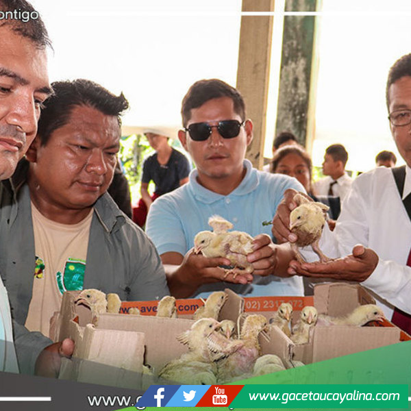 "Frutos de mi Tierra Atalayina": Proyecto que transforma la educación en Atalaya