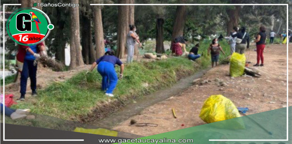 Realizan limpieza y siembran plantas en el Malecón Los Incas en conjunto