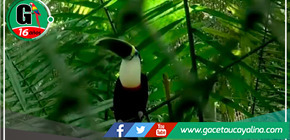 Nuestra Tierra te invita a explorar el Centro de Rescate Urku y descubrir los animales que habitan allí bajo cuidado y protección