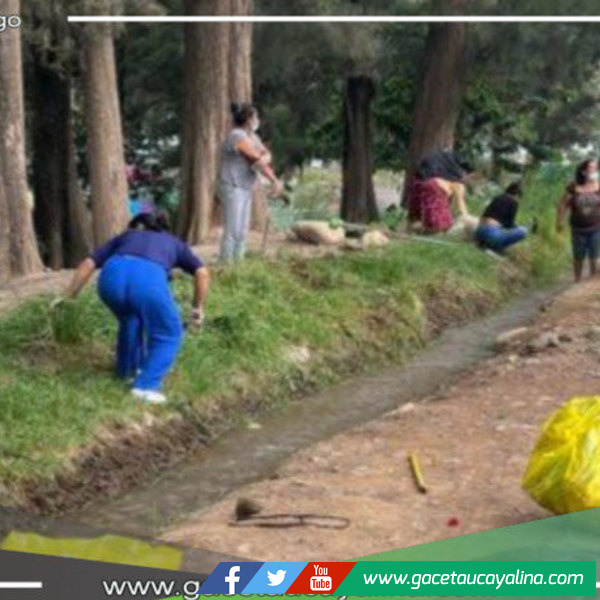 Realizan limpieza y siembran plantas en el Malecón Los Incas en conjunto  