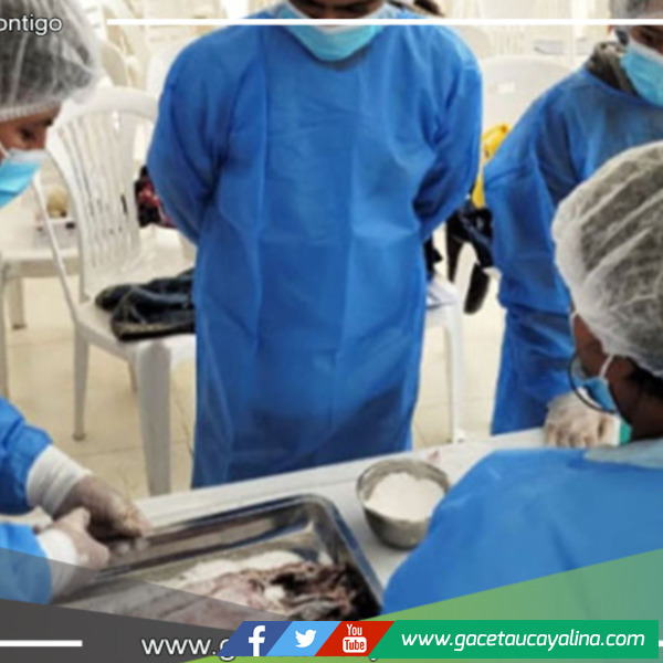 Produce capacita a pescadores artesanales de San Martín en procesamiento de recursos pesqueros