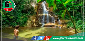 Amenaza a la Biodiversidad: Trocha Ilegal irrumpe en la Cordillera Escalera de San Martín