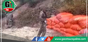 Huánuco: Decomisan más de 5 toneladas de Marihuana