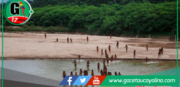 Survival International revela imágenes raras de los mashco piro en busca de alimento en Madre de Dios