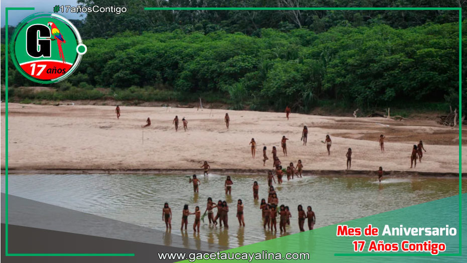 Survival International revela imágenes raras de los mashco piro en busca de alimento en Madre de Dios