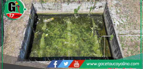 Operativo de Rentas y Fiscalización Elimina Foco Infeccioso en Establecimiento en Sepahua