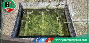 Operativo de Rentas y Fiscalización Elimina Foco Infeccioso en Establecimiento en Sepahua