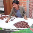 Pasantía en Satipo Mejora Capacidades de Productores Cacaoteros de Campo Verde