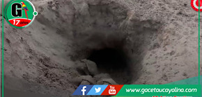 Proyecto Escolar "Taricaya Lovers" Incuba y Libera Cientos de Tortugas en Pucallpa