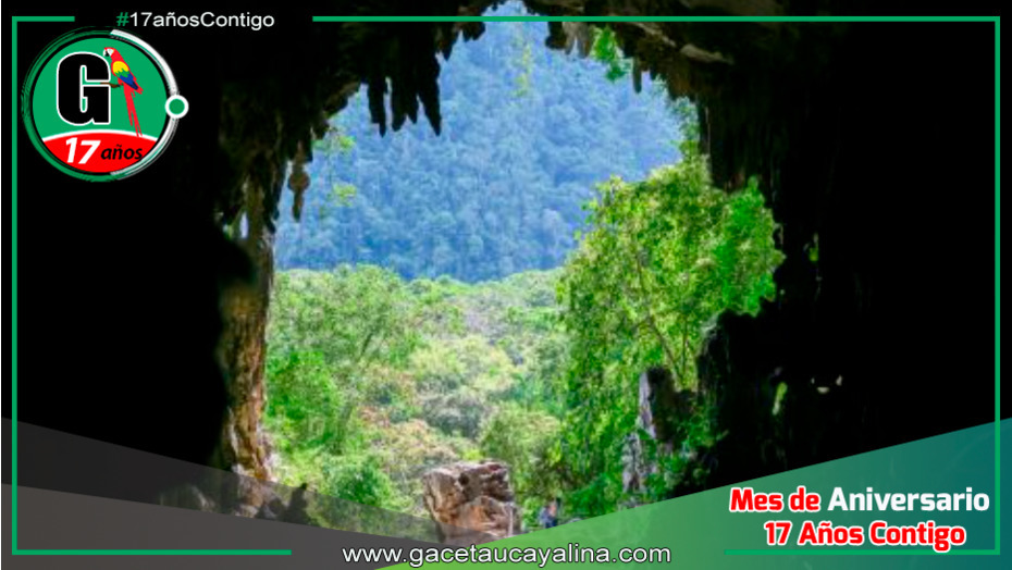Parque Nacional Tingo María: Motor de Reactivación Económica y Conservación