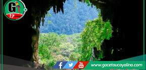 Parque Nacional Tingo María: Motor de Reactivación Económica y Conservación