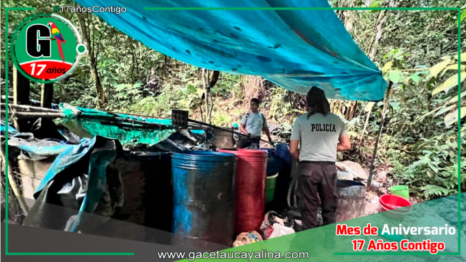 Desarticulan Laboratorio Clandestino de Producción de Cocaína y Decomisan Marihuana en Huánuco