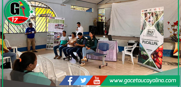 Capacitación en Inseminación Artificial Fortalece la Ganadería en Masisea