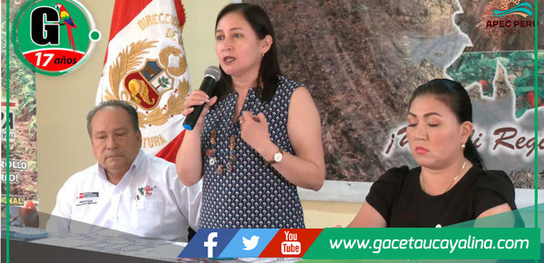 Alcaldesa Janet Castagne participó en el taller de actualización del Plan Víal Provincial 