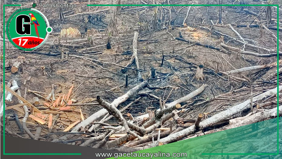 Incendios arrasan más de 338 hectáreas en San Martín