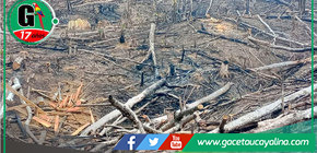 Incendios arrasan más de 338 hectáreas en San Martín