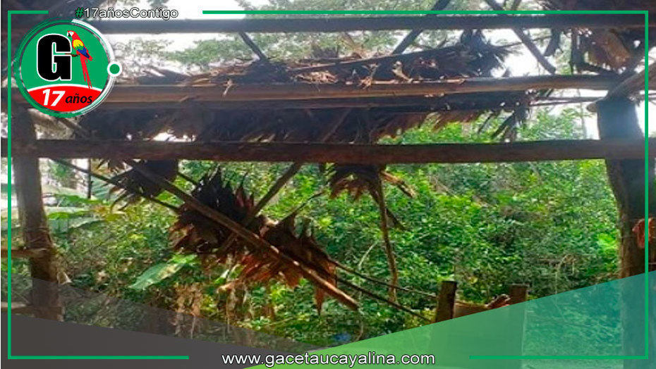 Fuertes vientos y lluvias impactan en Oxapampa