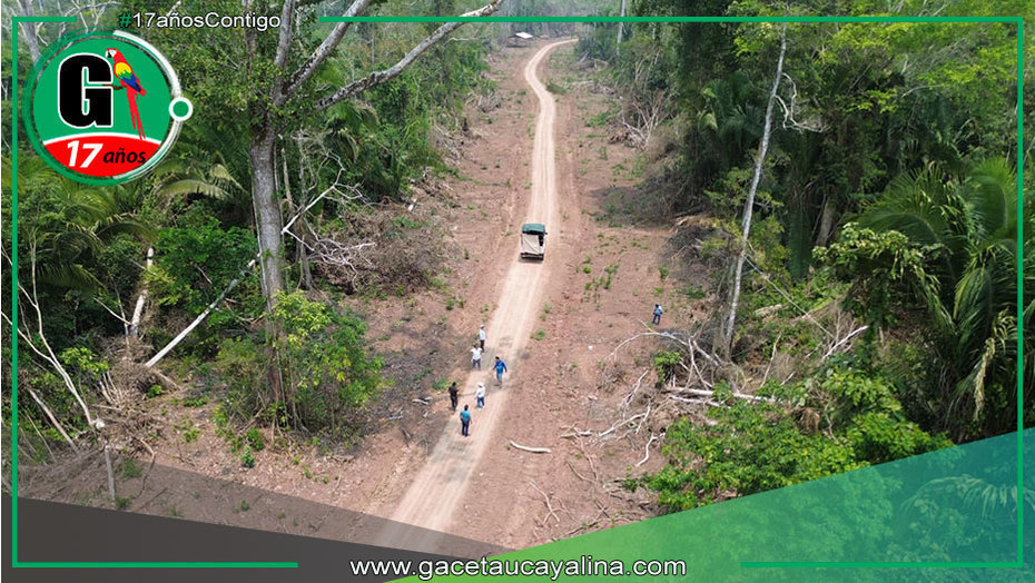 Comitiva de municipalidad de Ucayali inspecciona avance de vía entre Contamana y Pucallpa