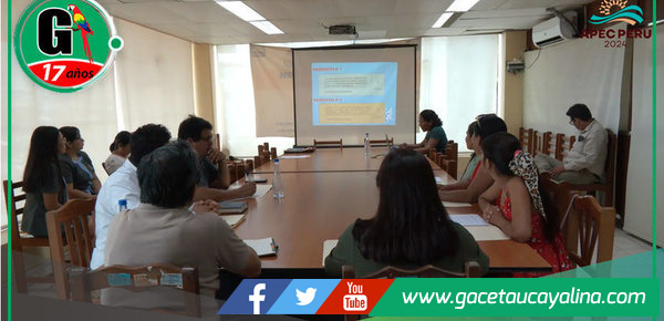 Coronel Portillo refuerza lucha contra anemia infantil en 2025