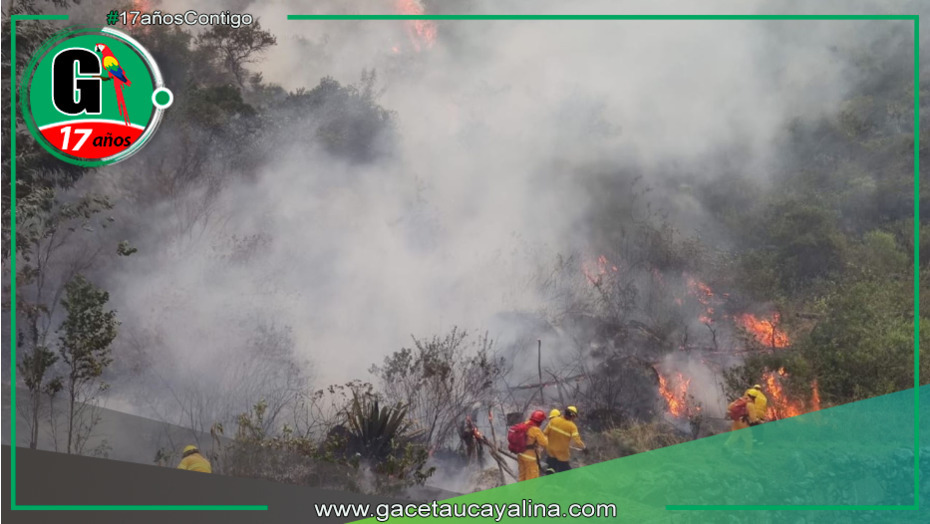 Cuatro víctimas de incendios forestales se encuentran hospitalizados