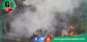 Cuatro víctimas de incendios forestales se encuentran hospitalizados 