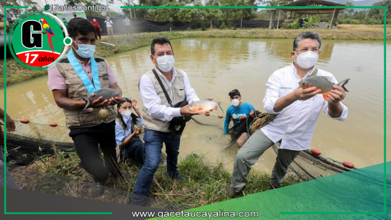 Huánuco suma esfuerzos en proyecto por la acuicultura de peces tropicales