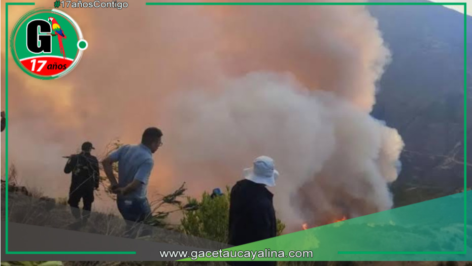La cantidad de turistas ha disminuido en un 60 % a causa de incendios forestales en San Martín