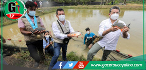Huánuco suma esfuerzos en proyecto por la acuicultura de peces tropicales