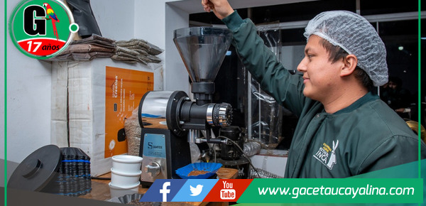 Programa Avanzar Rural impulsa la producción de café beneficiando a cerca de 5000 familias